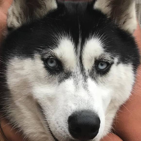 Meet your Posher, Riadh - Picture 1 of 1